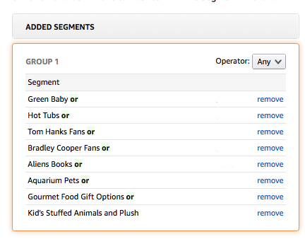 Amazon DSP Segmentation